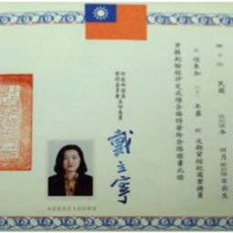 陳金怡 講師
